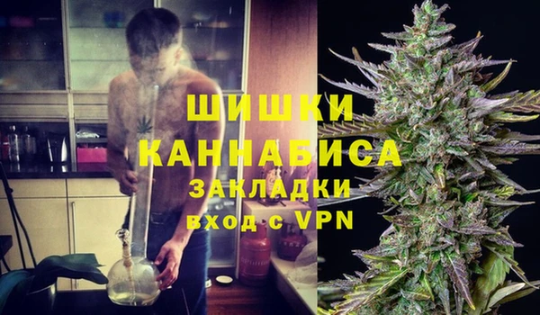 сатива Беломорск