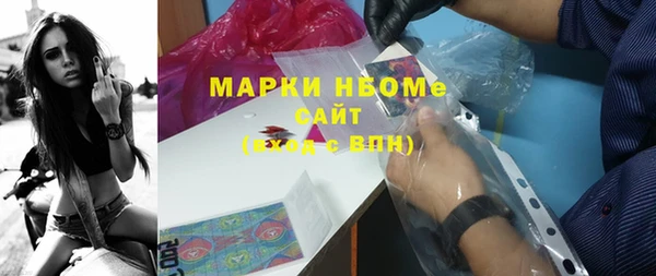 сатива Беломорск