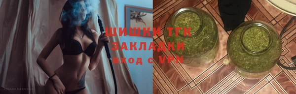 дмт Богородицк