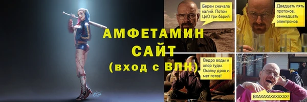 сатива Беломорск