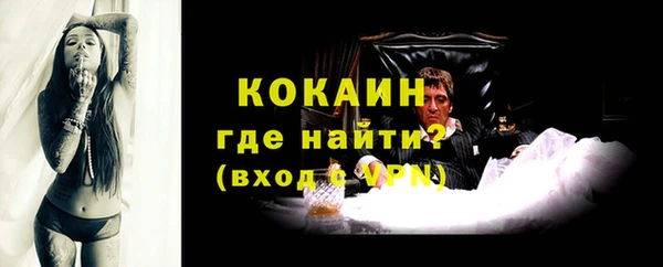 дмт Богородицк