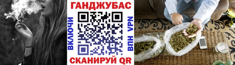 Каннабис индика  Венёв 